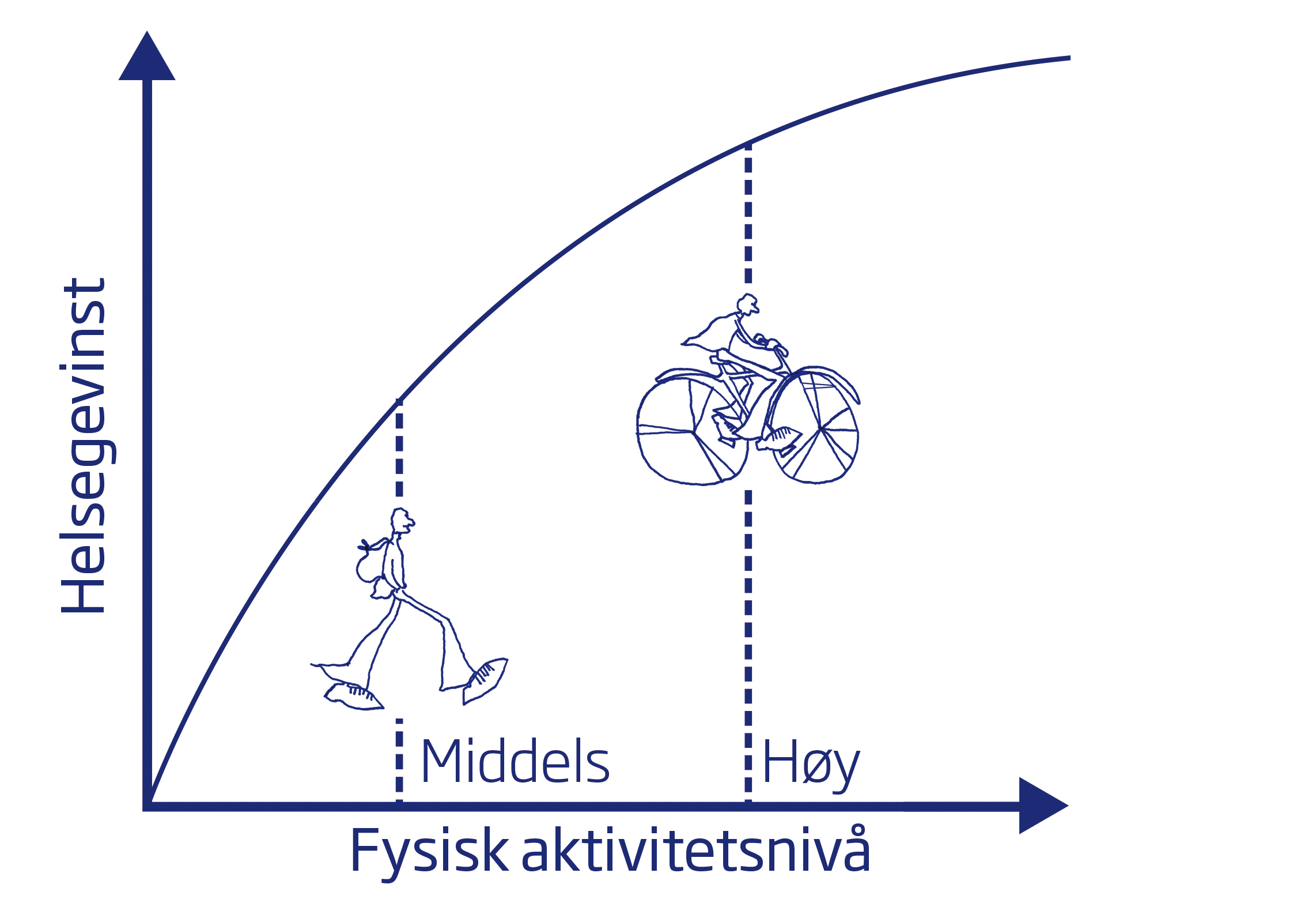fysisk aktivitetsniva diagram